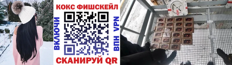 мега рабочий сайт  Котельники  Cocaine Fish Scale 